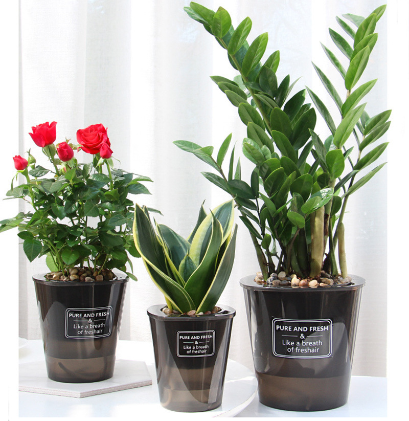 Aloe Vera Pot - Automatic Water-absorbing Flower Pot Self Watering