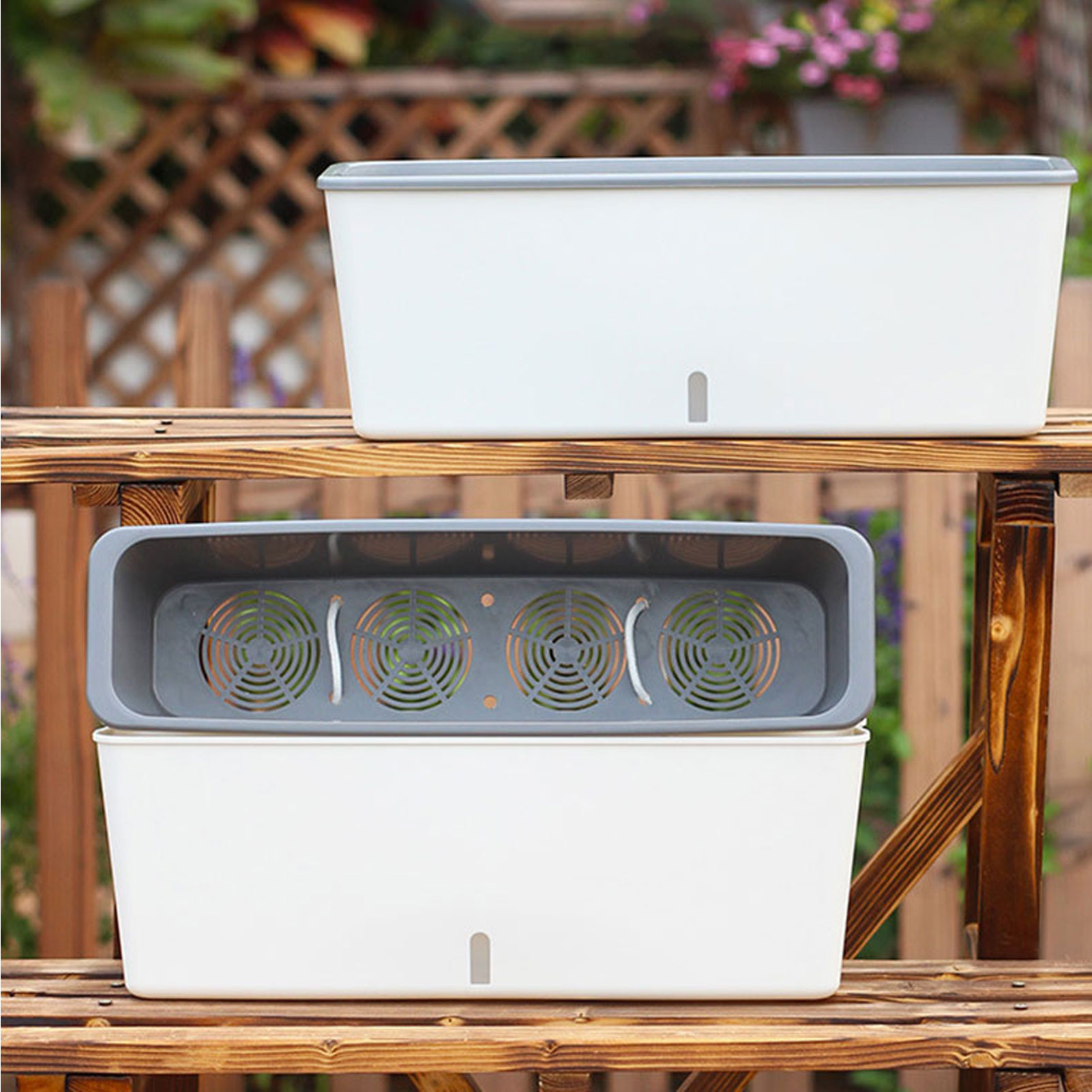 Self-Watering Planter Pots wit - đánh giá và giá Aloe Vera Pot