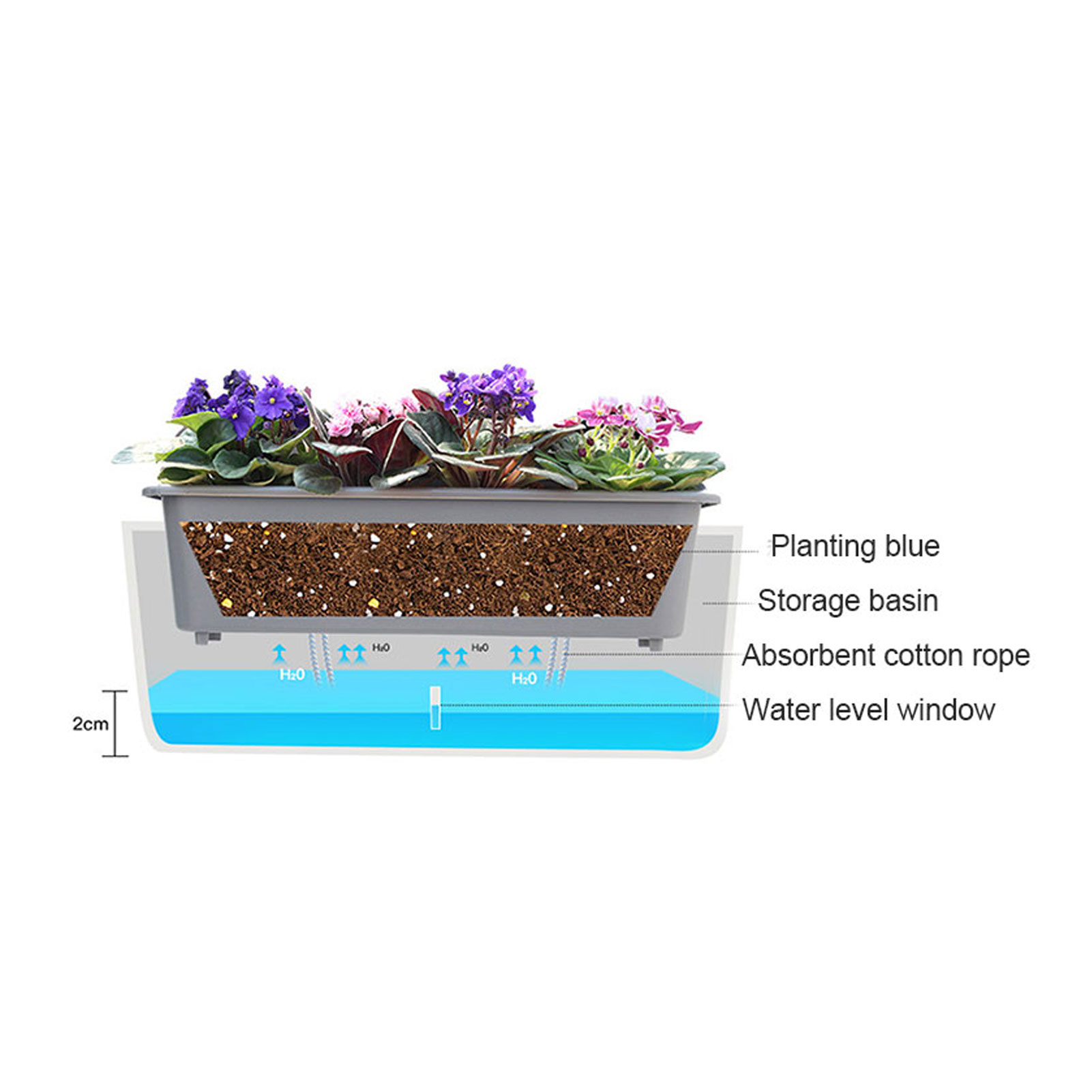 Self-Watering Planter Pots wit - đánh giá và giá Aloe Vera Pot