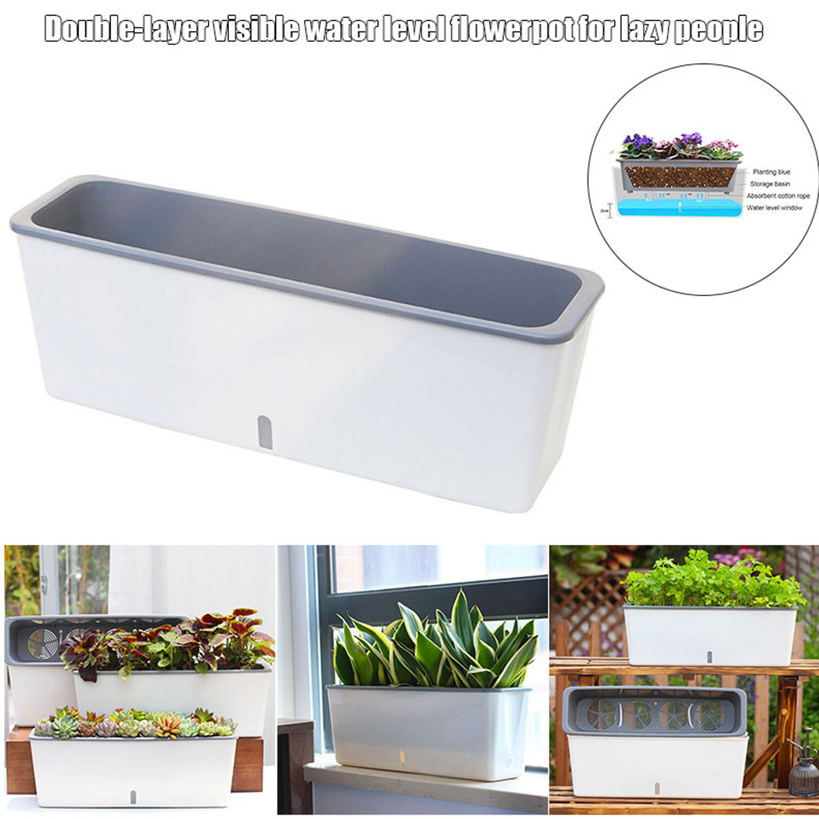 Self-Watering Planter Pots wit - đánh giá và giá Aloe Vera Pot
