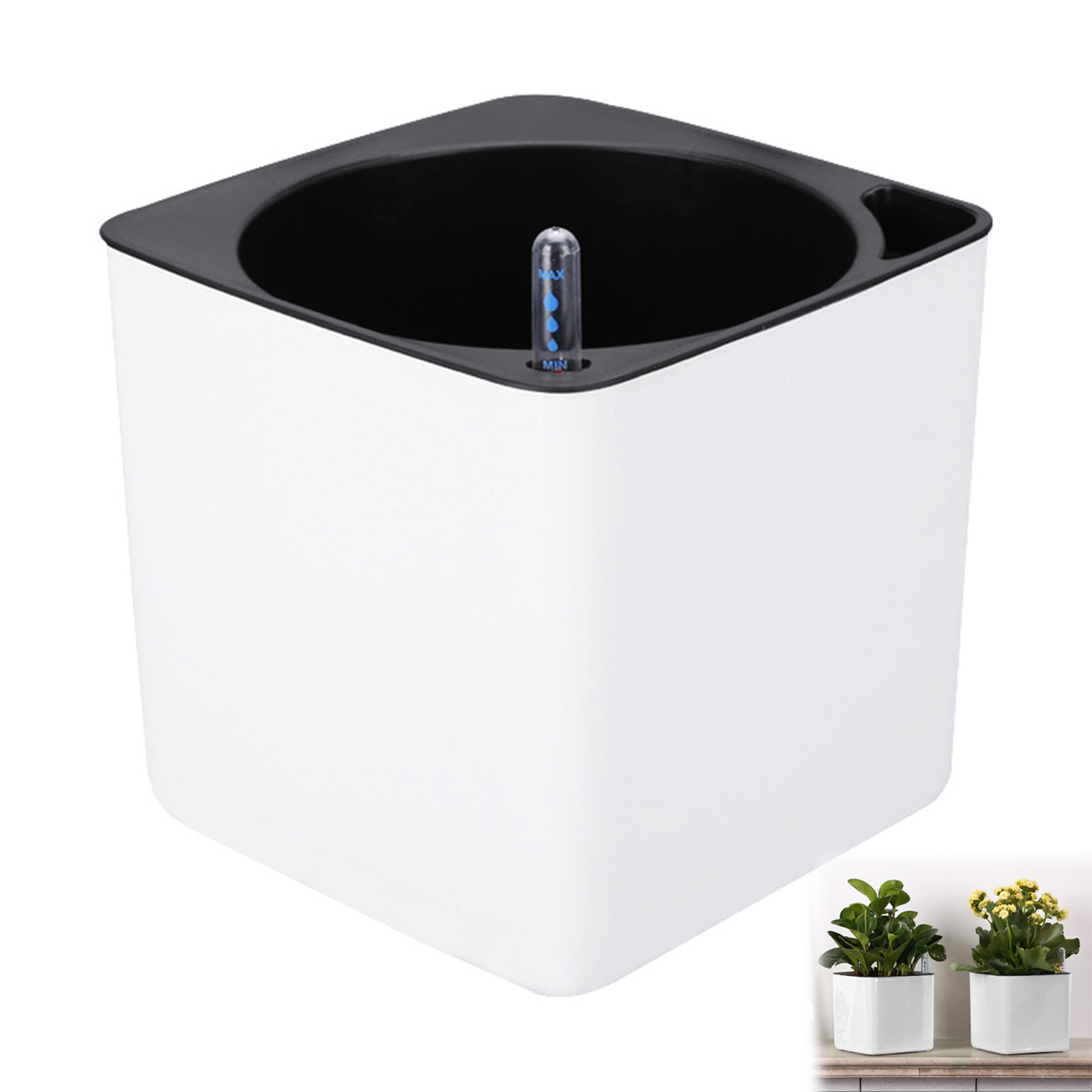 Automatic Self Watering Flower - đánh giá và giá Aloe Vera Pot