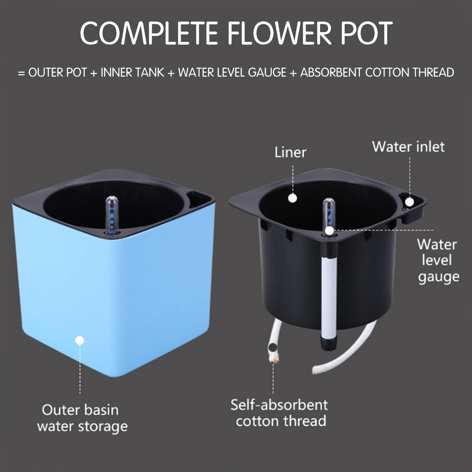 Automatic Self Watering Flower - đánh giá và giá Aloe Vera Pot