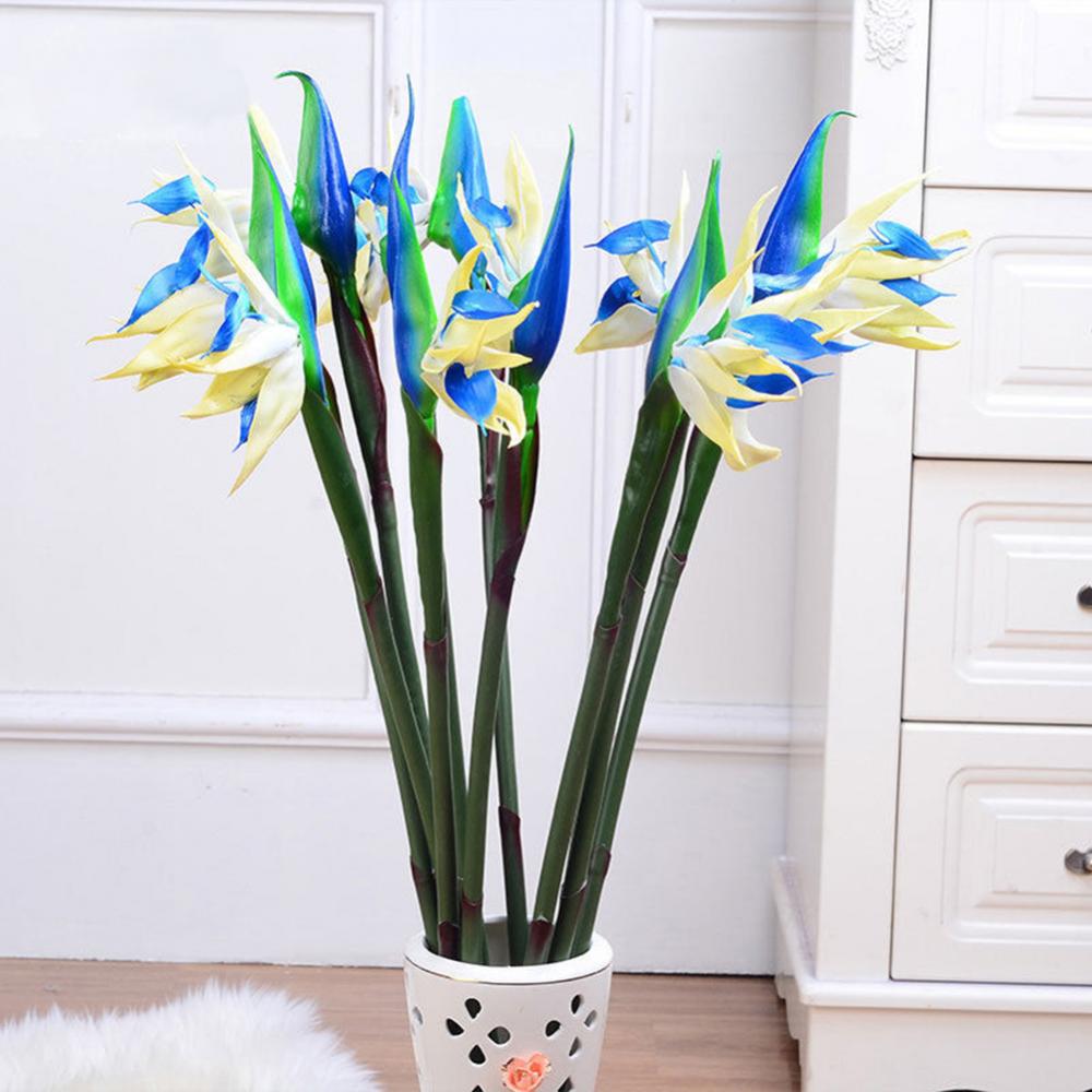 1pc 80cm Flower Bird Of Paradi - đánh giá và giá Bird Paradise Strelitzia