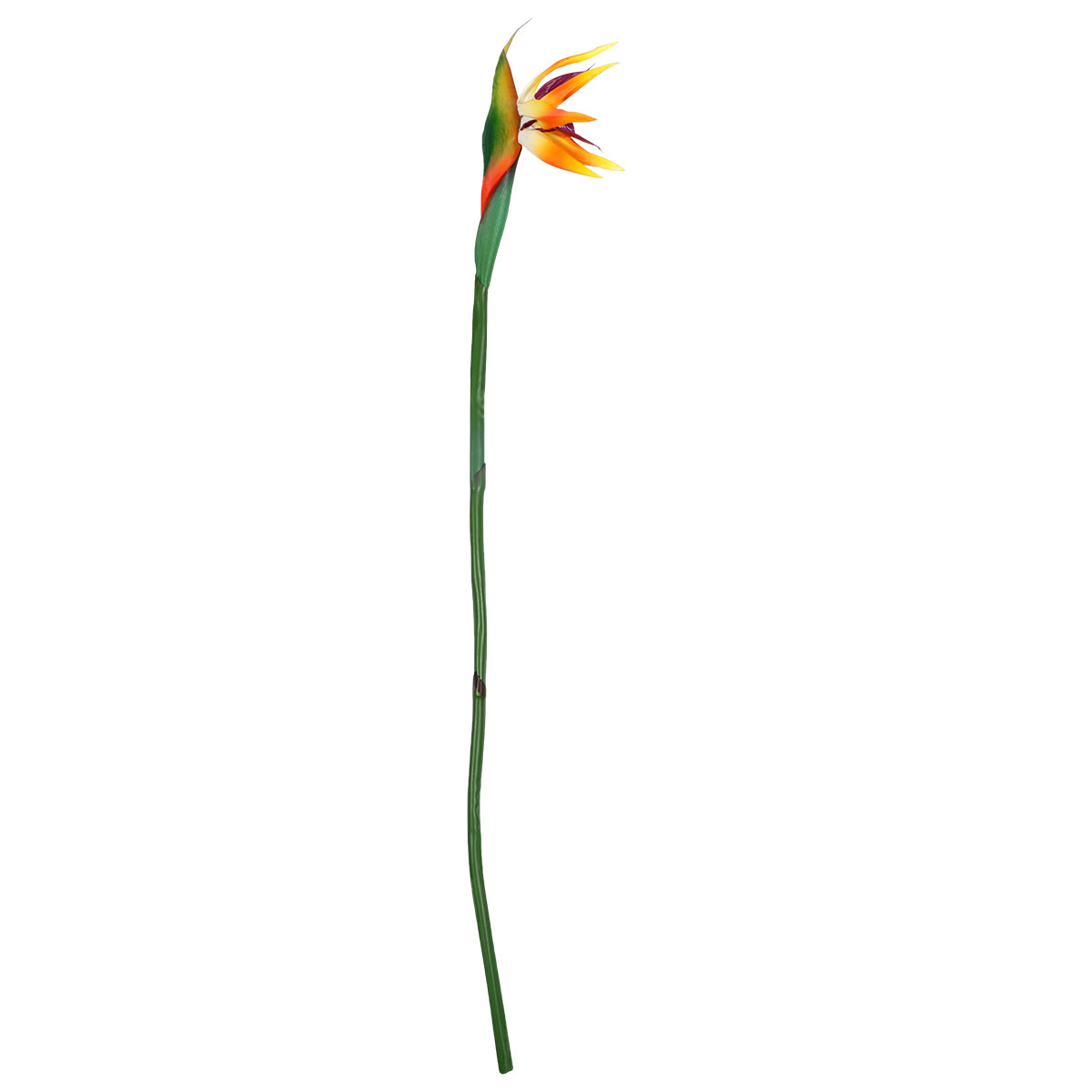 Artificial Strelitzia Flower R - đánh giá và giá Bird Paradise Strelitzia