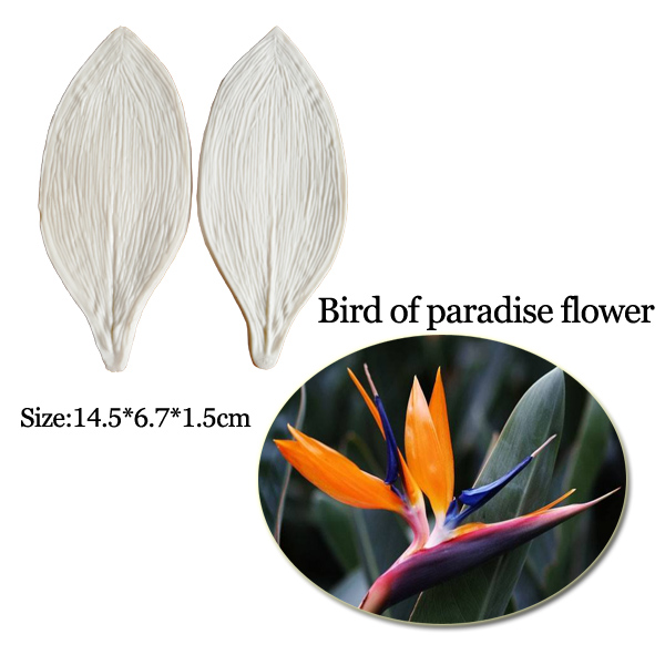 Lớn Gumpaste Strelitzia Chim T - đánh giá và giá Bird Paradise Strelitzia