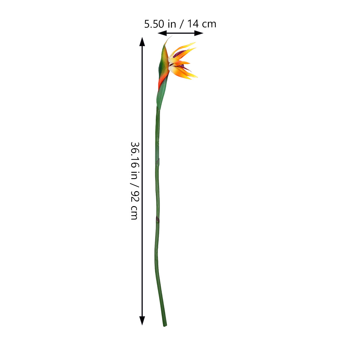 Artificial Bird of Paradise Pl - đánh giá và giá Bird Paradise Strelitzia