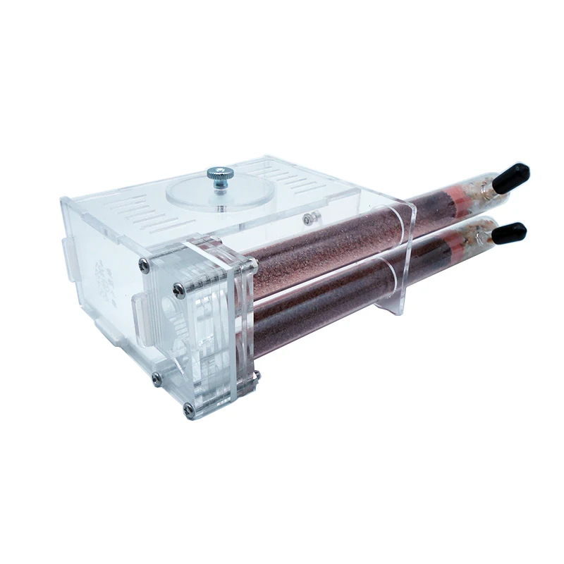DIY Ant Farm 2 pcs 18-180mm Gy - đánh giá và giá Begonia Rex