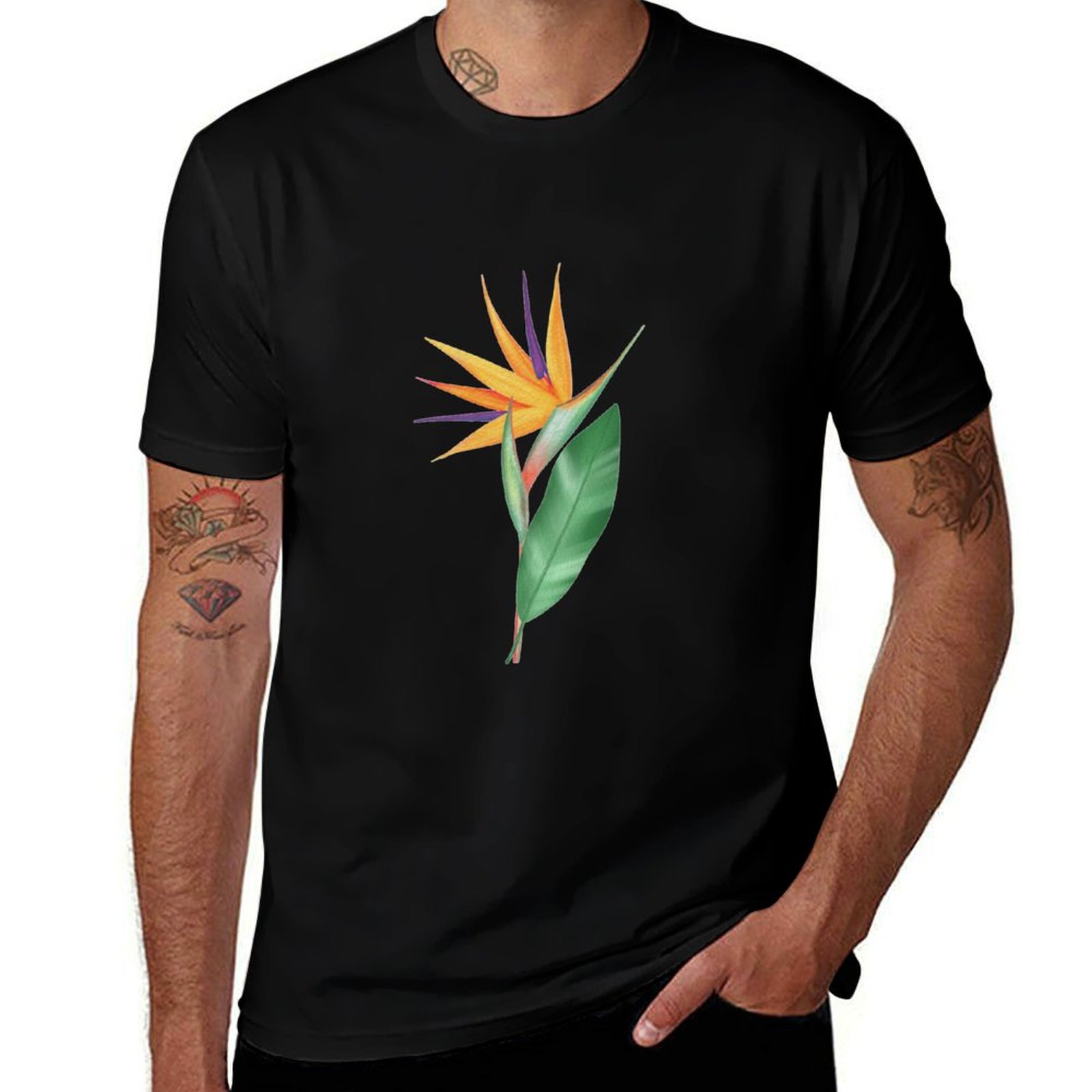 Watercolor bird of paradise fl - đánh giá và giá Bird Paradise Strelitzia