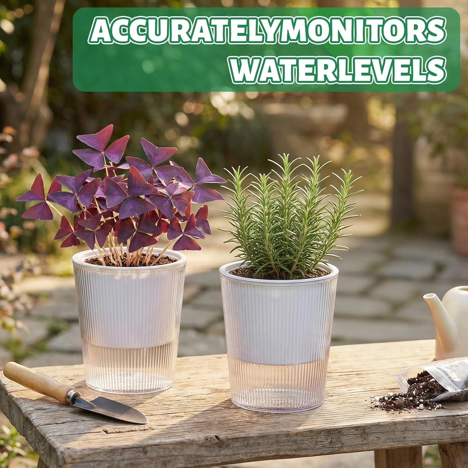 Clear Self Watering Planters P - đánh giá và giá Aloe Vera Pot