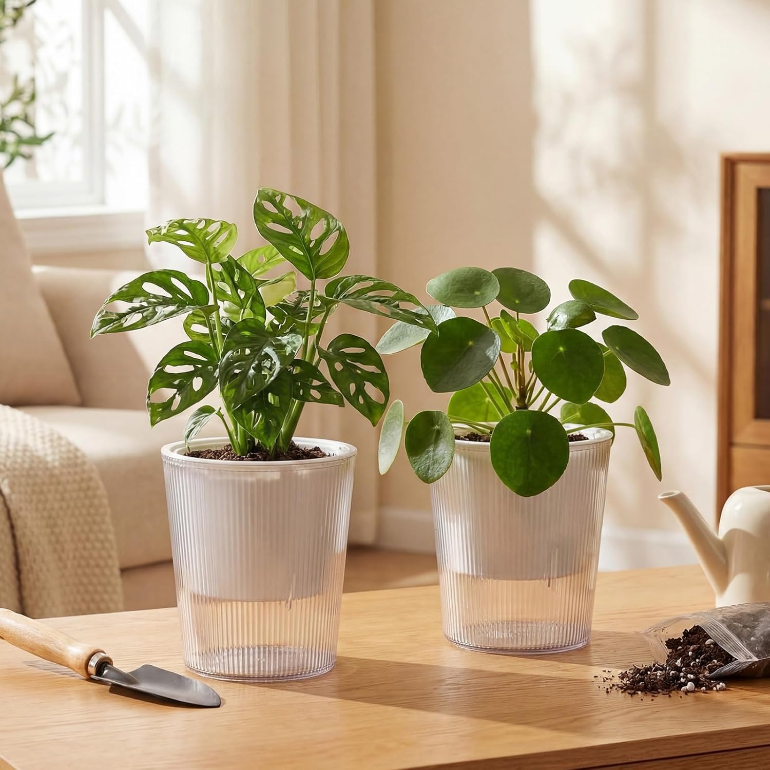 Clear Self Watering Planters P - đánh giá và giá Aloe Vera Pot