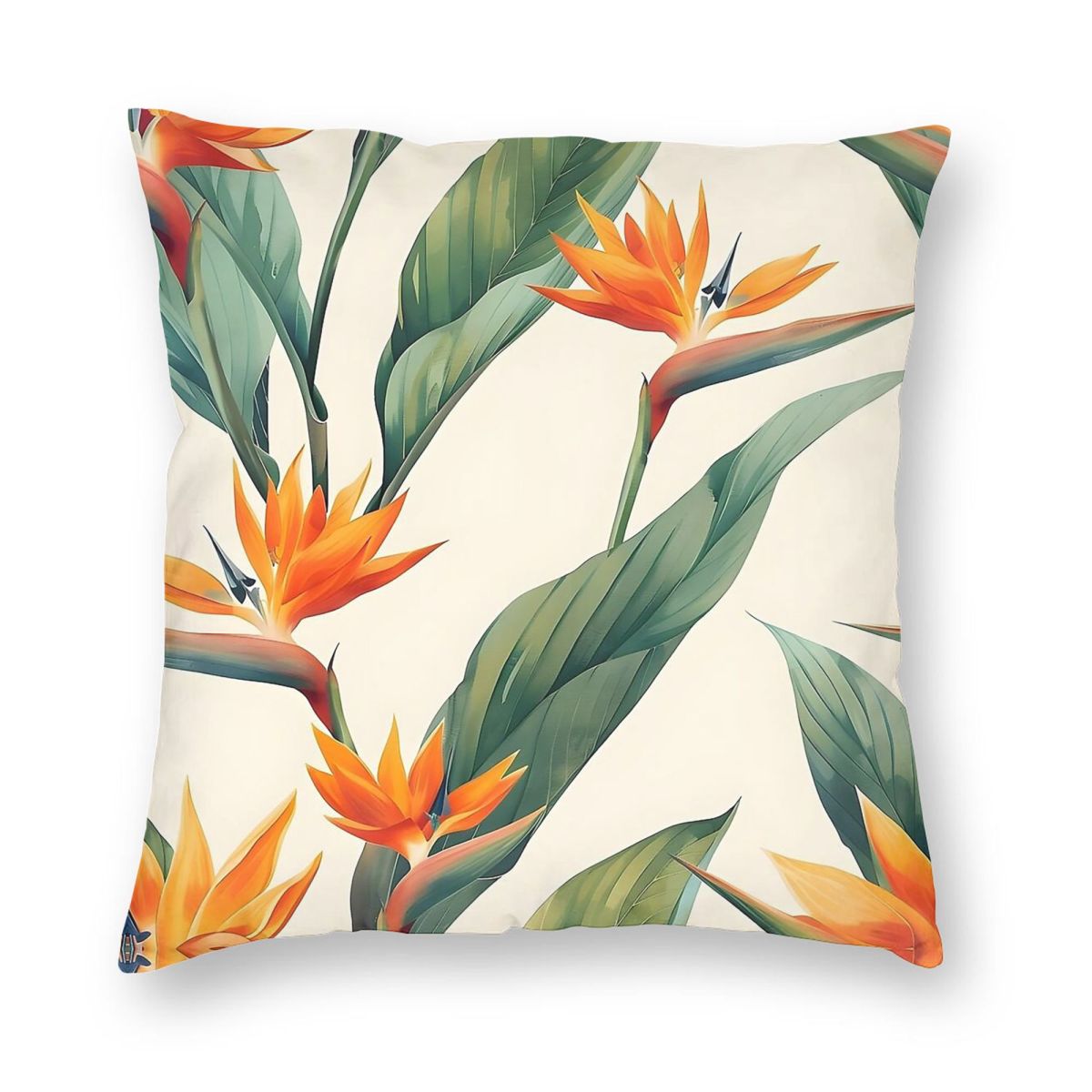Bird Of Paradise Strelitzia Sq - đánh giá và giá Bird Paradise Strelitzia