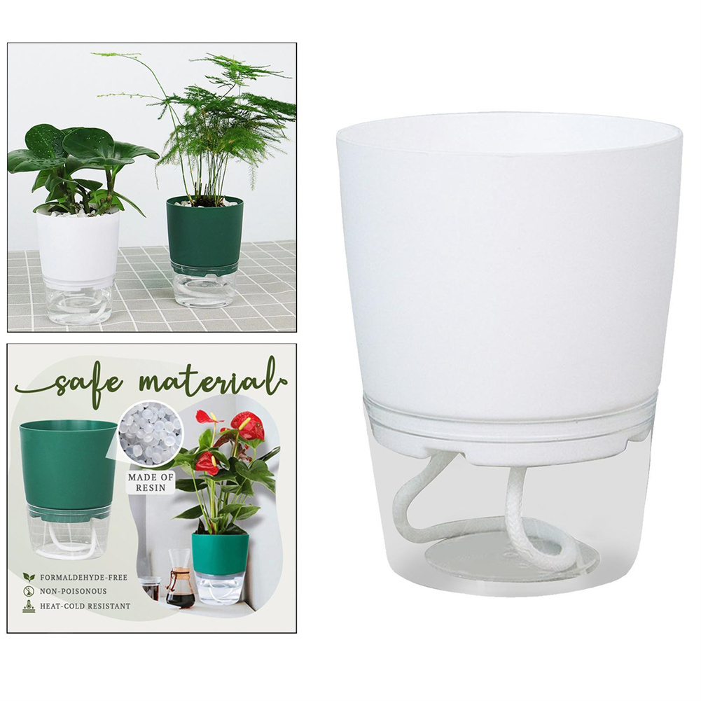 Lazy Hydroponic Flower Pot Aut - đánh giá và giá Aloe Vera Pot