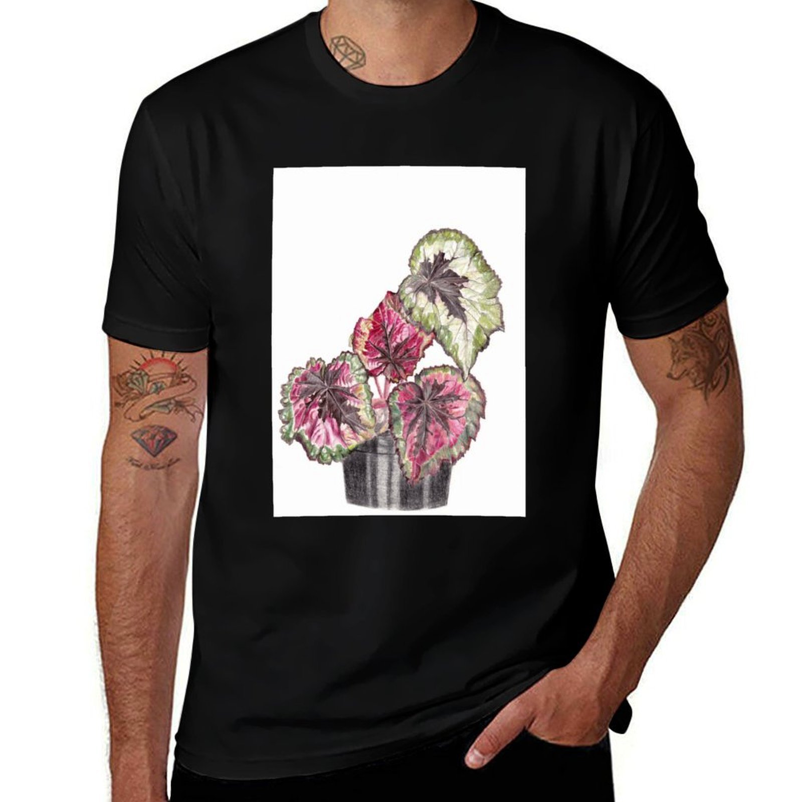 Begonia Rex T-Shirt Comfort St - đánh giá và giá Begonia Rex