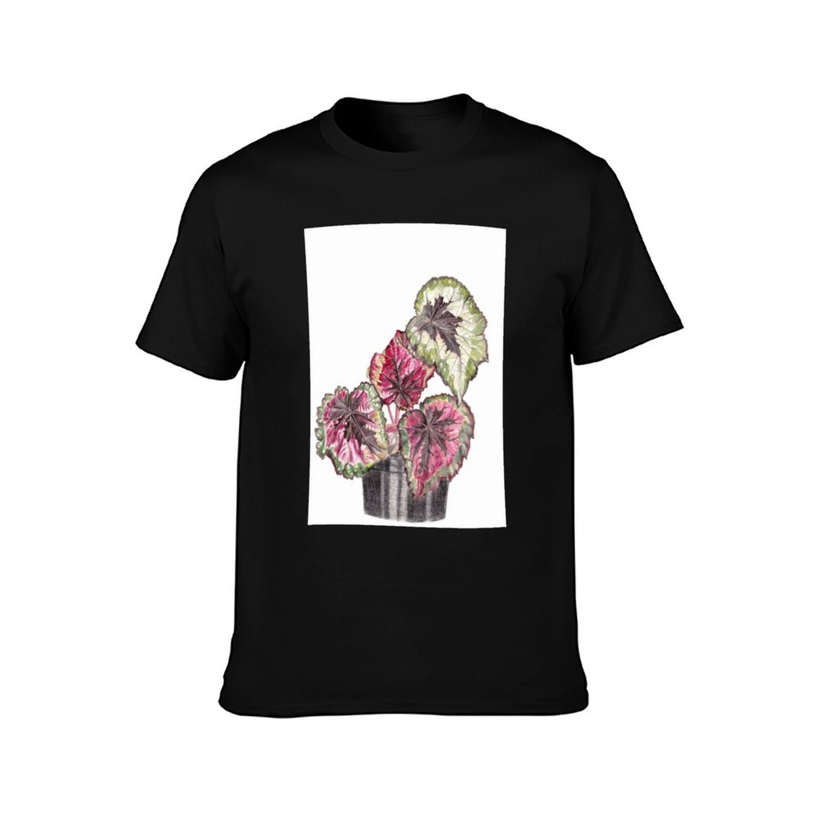 Begonia Rex T-Shirt Comfort St - đánh giá và giá Begonia Rex